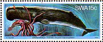 sperm whale